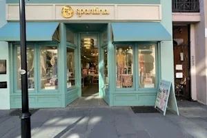 Spartina 449 Charleston image