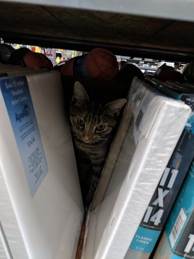 Art Supply Store «Artist & Craftsman Supply Hyattsville», reviews and photos, 4902 43rd Ave, Hyattsville, MD 20781, USA