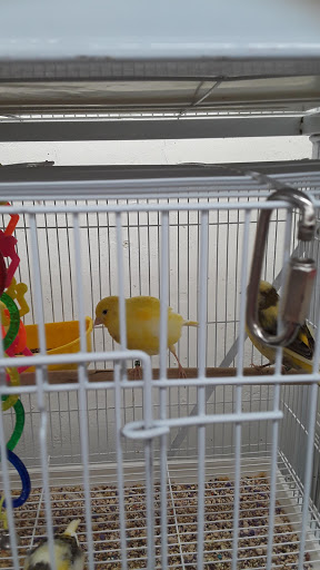 Pet Store «Fin-N-Feather», reviews and photos, 2931 F St, Eureka, CA 95501, USA