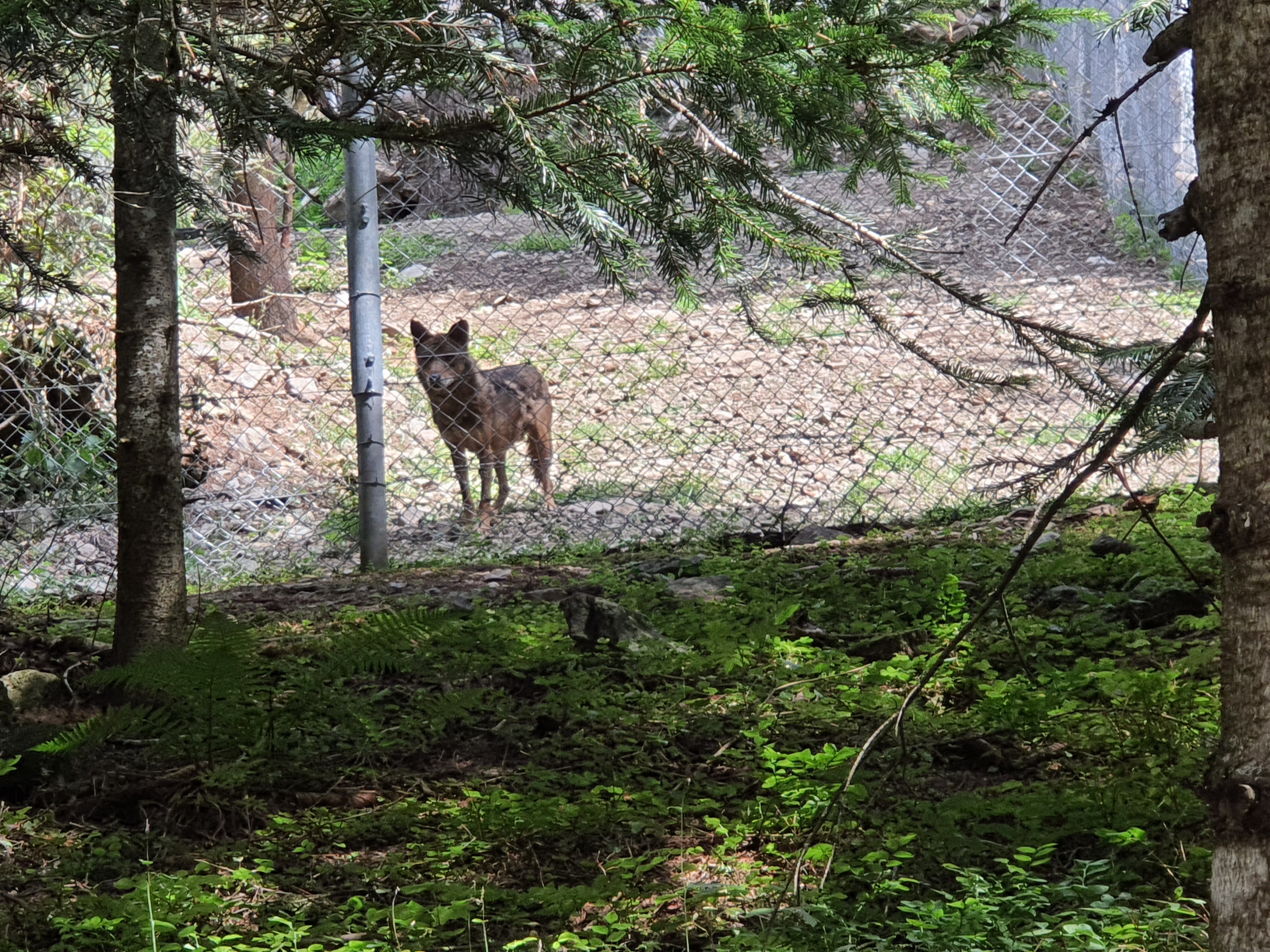 Photo n° 2 de l'avis de Anne.u fait le 25/08/2022 à 08:51