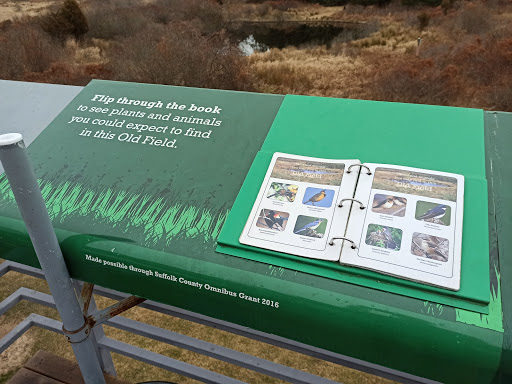 Natural History Museum «South Fork Natural History Museum & Nature Center», reviews and photos, 377 Bridgehampton-Sag Harbor Turnpike, Bridgehampton, NY 11932, USA