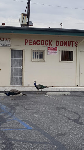 Donut Shop «Peacock Donuts», reviews and photos, 34 E Duarte Rd, Arcadia, CA 91006, USA