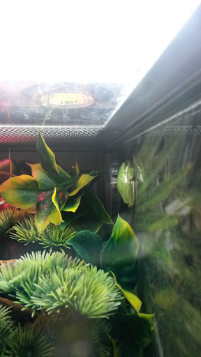 Pet Store «PetSmart», reviews and photos, 17150 Ventura Blvd, Encino, CA 91316, USA