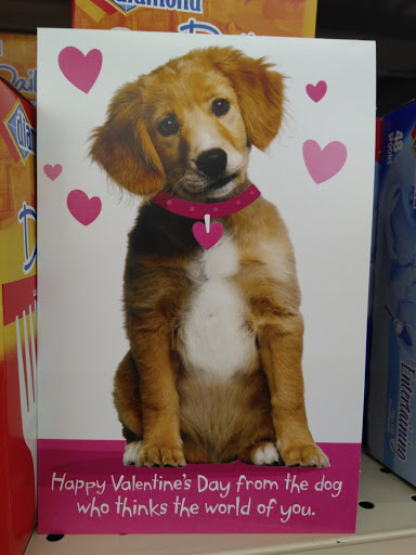 Discount Store «Big Lots», reviews and photos, 9977 Pulaski Hwy, Middle River, MD 21220, USA