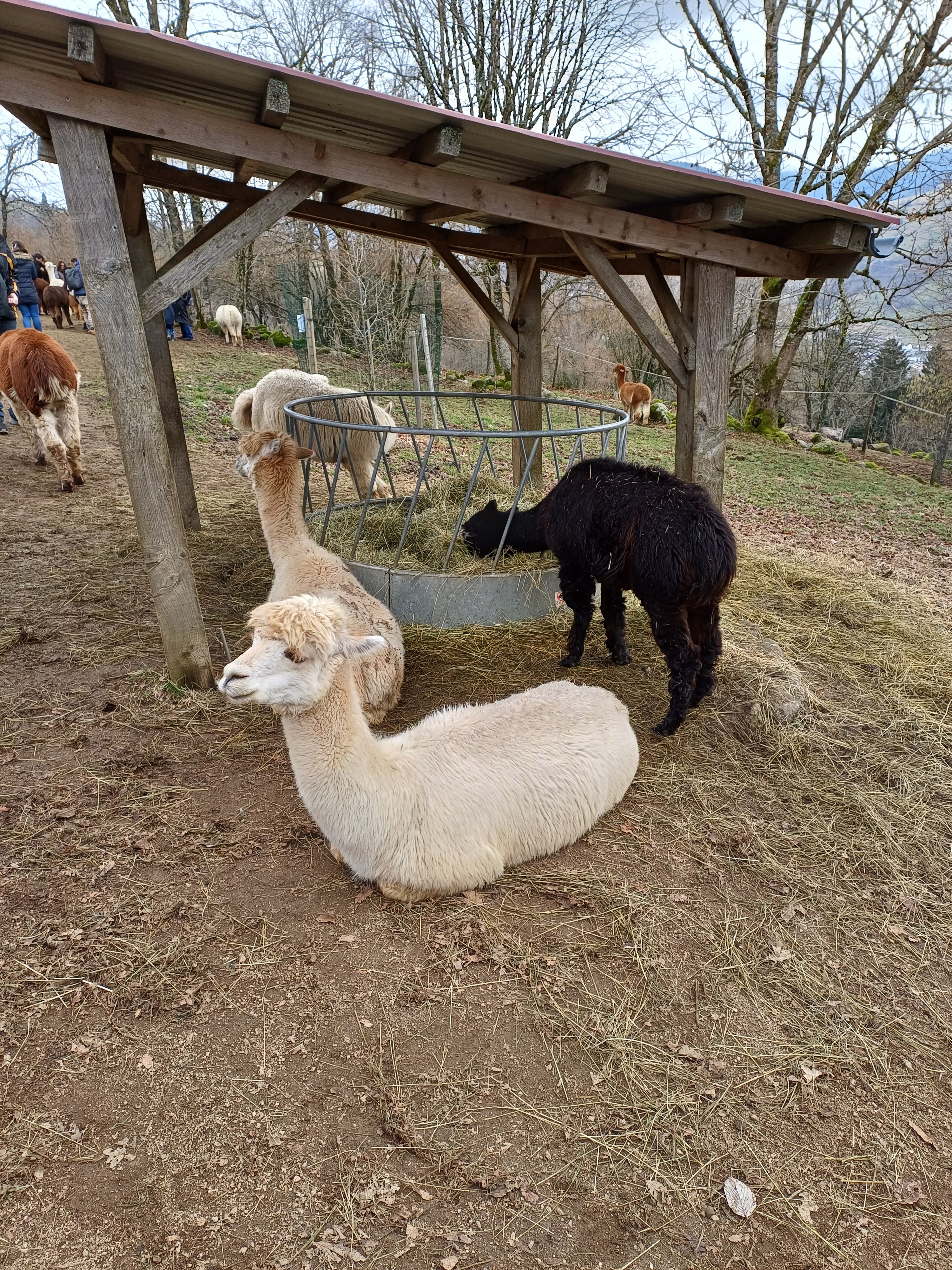Photo n° 7 de l'avis de Franck.a fait le 20/02/2024 à 02:52