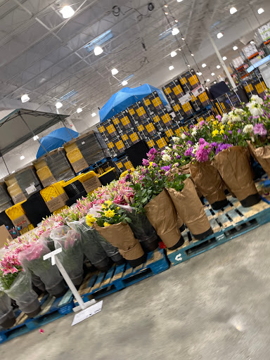 Warehouse store «Costco Wholesale», reviews and photos, 220 Sylvania Ave, Santa Cruz, CA 95060, USA