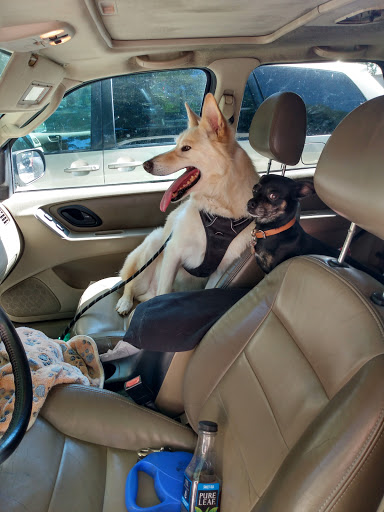 Tobacco Shop «Exhale Tobacco», reviews and photos, 337 Nord Ave, Chico, CA 95926, USA