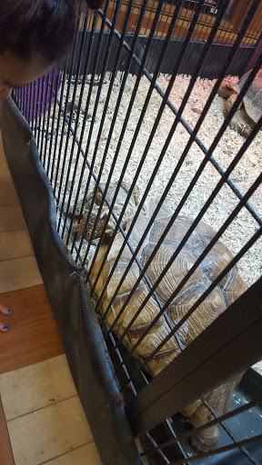 Pet Store «Affordable Pet Center», reviews and photos, 2022 Main St, Northampton, PA 18067, USA