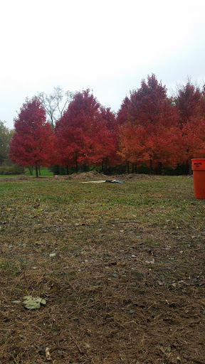 Golf Club «Crystal Tree Golf and Country Club», reviews and photos, 10700 W 153rd St, Orland Park, IL 60462, USA