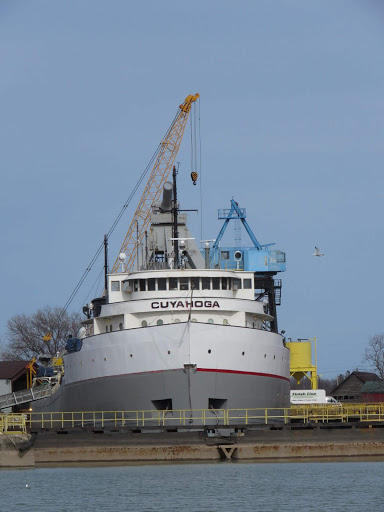 Discount Store «Dollar General», reviews and photos, 2310 E Tyler Ave, Harlingen, TX 78550, USA