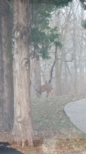 Park «Harrods Creek Park», reviews and photos, 6530 Montero Dr, Prospect, KY 40059, USA