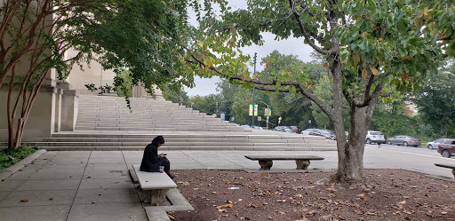 Art Museum «Baltimore Museum of Art», reviews and photos, 10 Art Museum Dr, Baltimore, MD 21218, USA