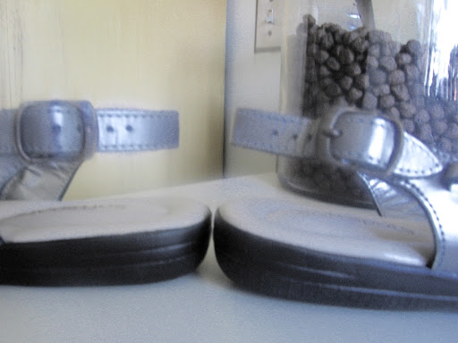 Shoe Store «Shoe Metro», reviews and photos, 5501 Centrepointe Dr, La Vergne, TN 37086, USA