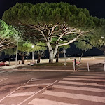 Photo n° 4 de l'avis de Anouch. fait le 31/10/2021 à 12:54 pour Plage d'Arcachon à Arcachon