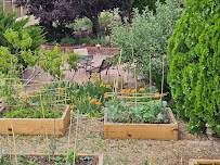 GreenTech Solutions - Photo 2 - Car repair in , Albuquerque