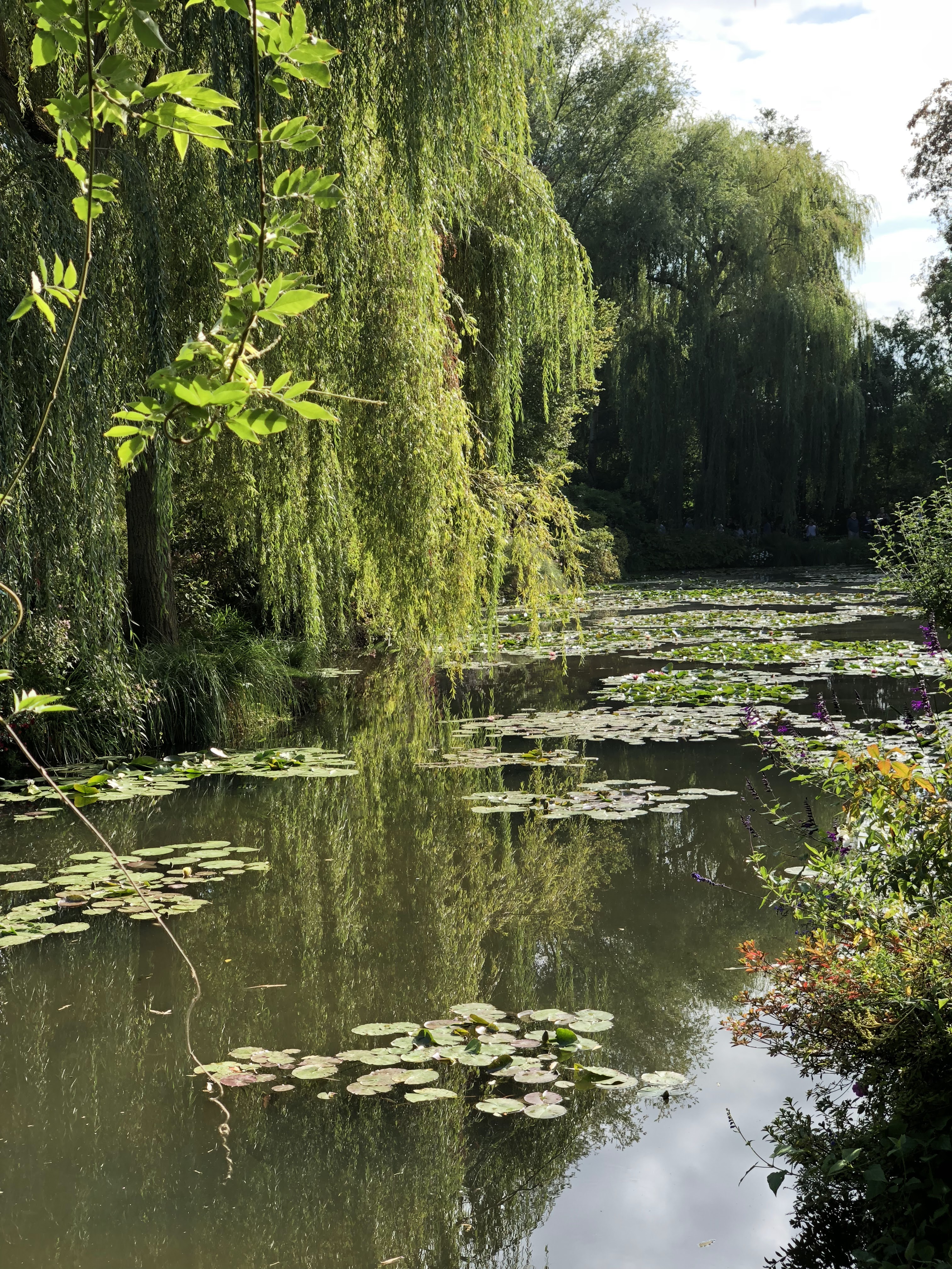 Photo n° 5 de l'avis de Igor.a fait le 25/10/2018 à 12:29