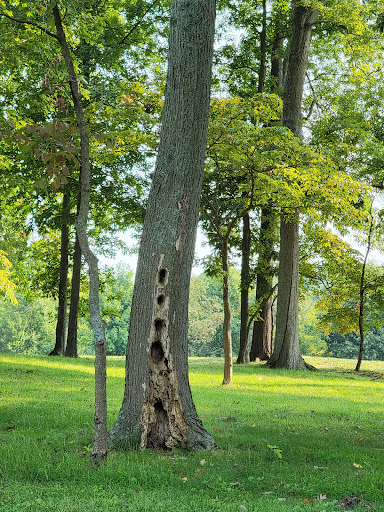 Golf Course «Greystone Golf Course», reviews and photos, 2115 White Hall Rd, White Hall, MD 21161, USA