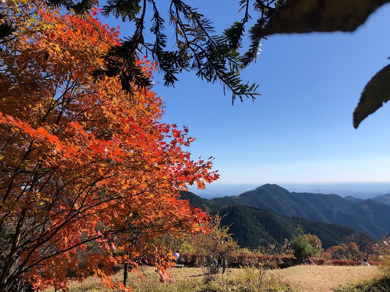 長尾平園地