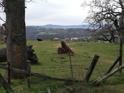 Observatory «Lick Observatory», reviews and photos, 7281 Mt Hamilton Rd, Mt Hamilton, CA 95140, USA