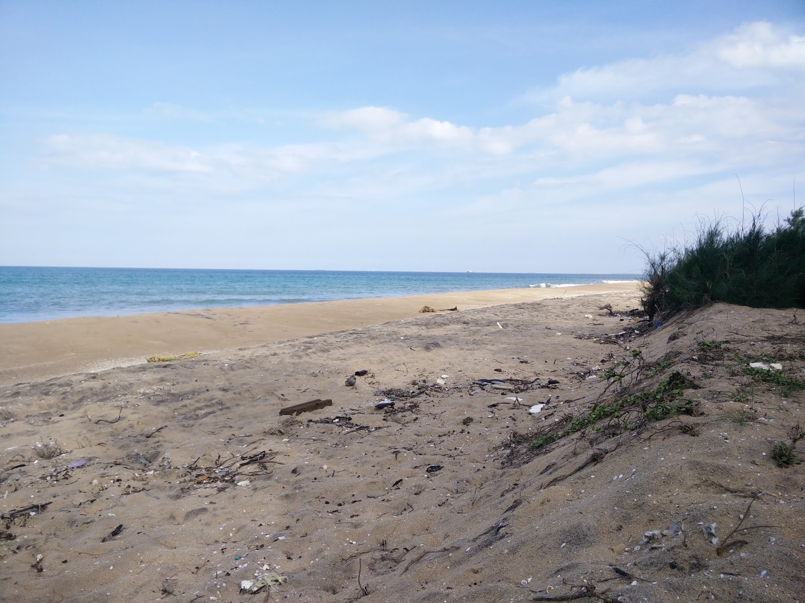 Φωτογραφία του Paradise of NC με επίπεδο καθαριότητας εν μέρει καθαρό