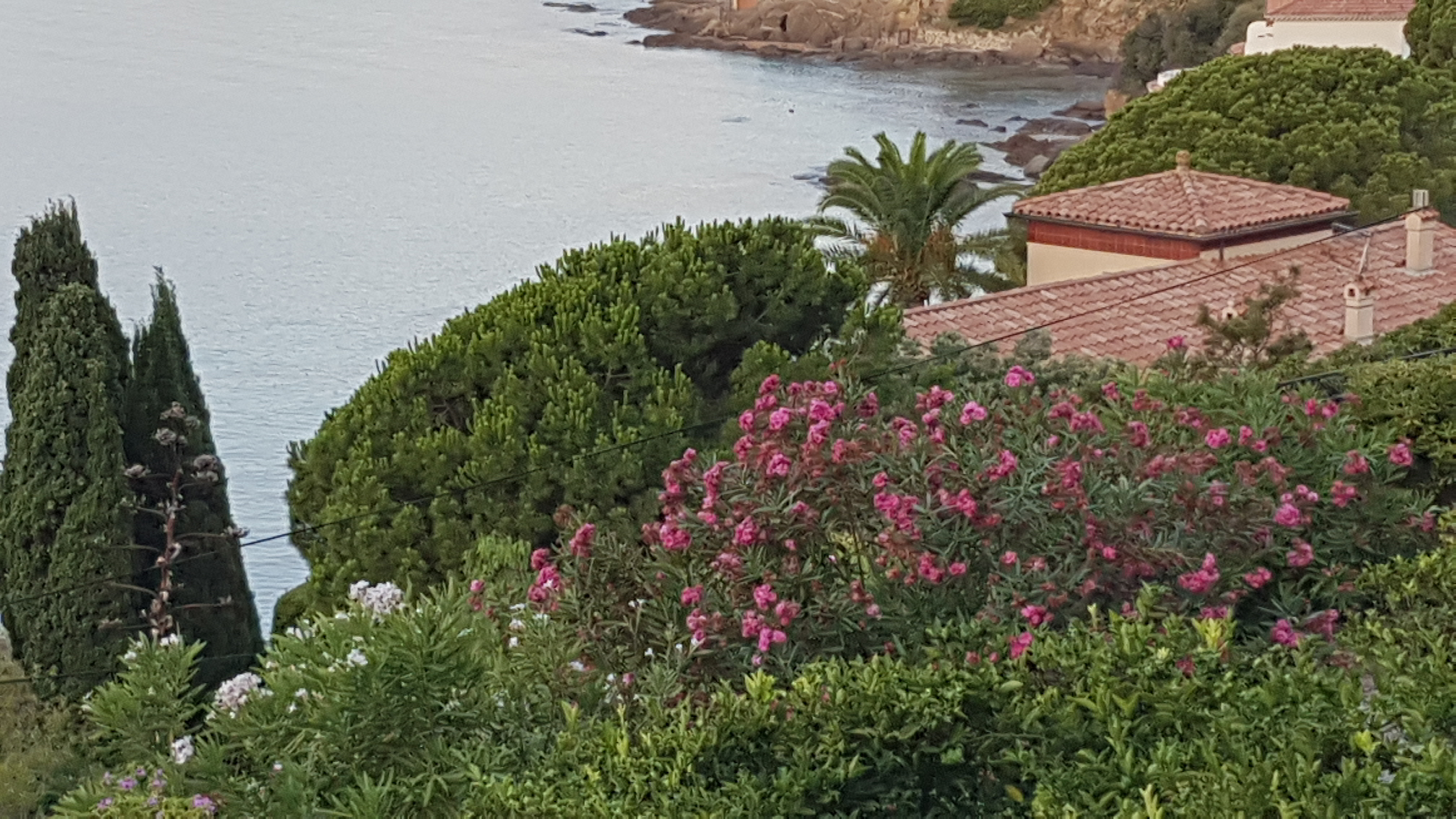 Photo n° 3 de l'avis de Catherine.' fait le 03/08/2019 à 09:47