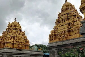 Sri Chenna Kesava Perumal Temple image