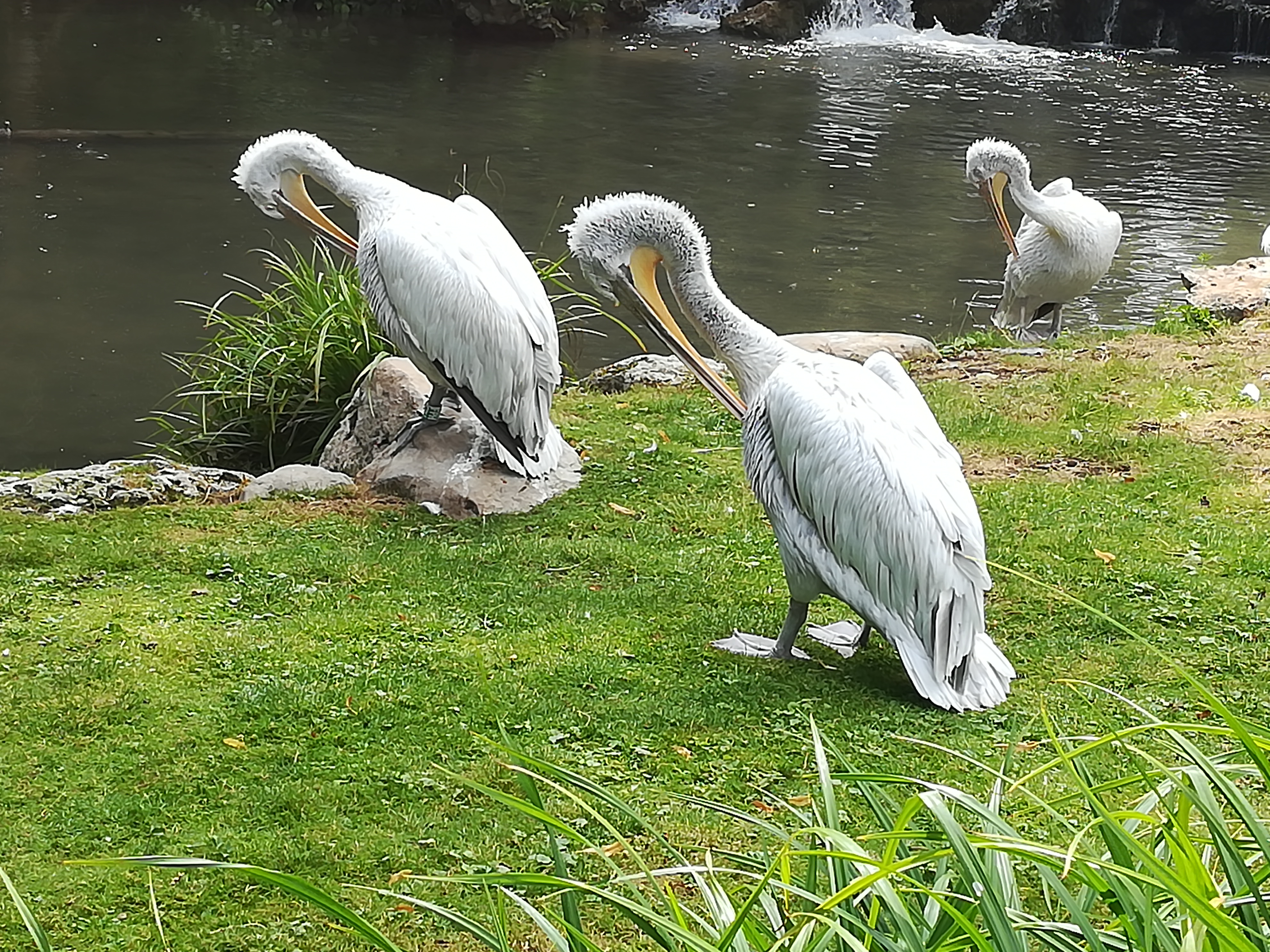 Photo n° 27 de l'avis de Christophe.A fait le 26/07/2020 à 19:03