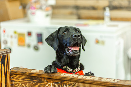 Pet Supply Store «Thomaston Feed of Cheshire», reviews and photos, 851 S Main St, Cheshire, CT 06410, USA