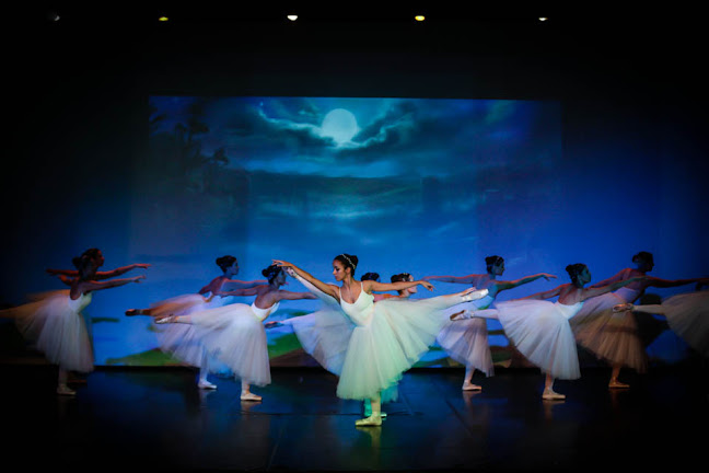 Comentários e avaliações sobre o Escola de Dança Palmira Camargo