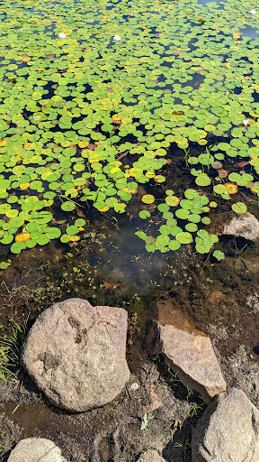 State Park «Borderland State Park», reviews and photos, 259 Massapoag Ave, North Easton, MA 02356, USA