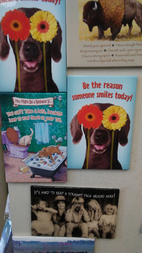 Pet Supply Store «Concord Feed Pet & Livestock Supplies», reviews and photos, 228 Hookston Rd, Pleasant Hill, CA 94523, USA