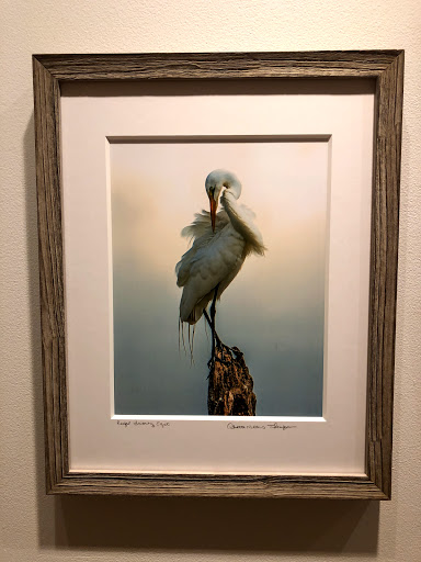 Art Museum «Coral Springs Museum of Art», reviews and photos, 2855 Coral Springs Dr, Coral Springs, FL 33065, USA