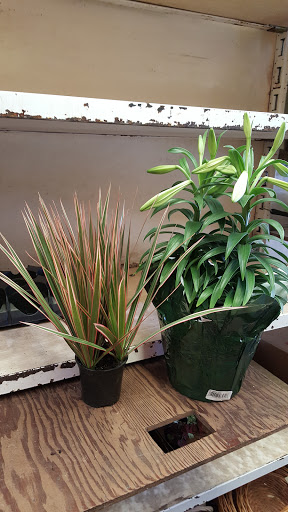 Florist «Flower Basket», reviews and photos, 302 N Lake St, Aurora, IL 60506, USA