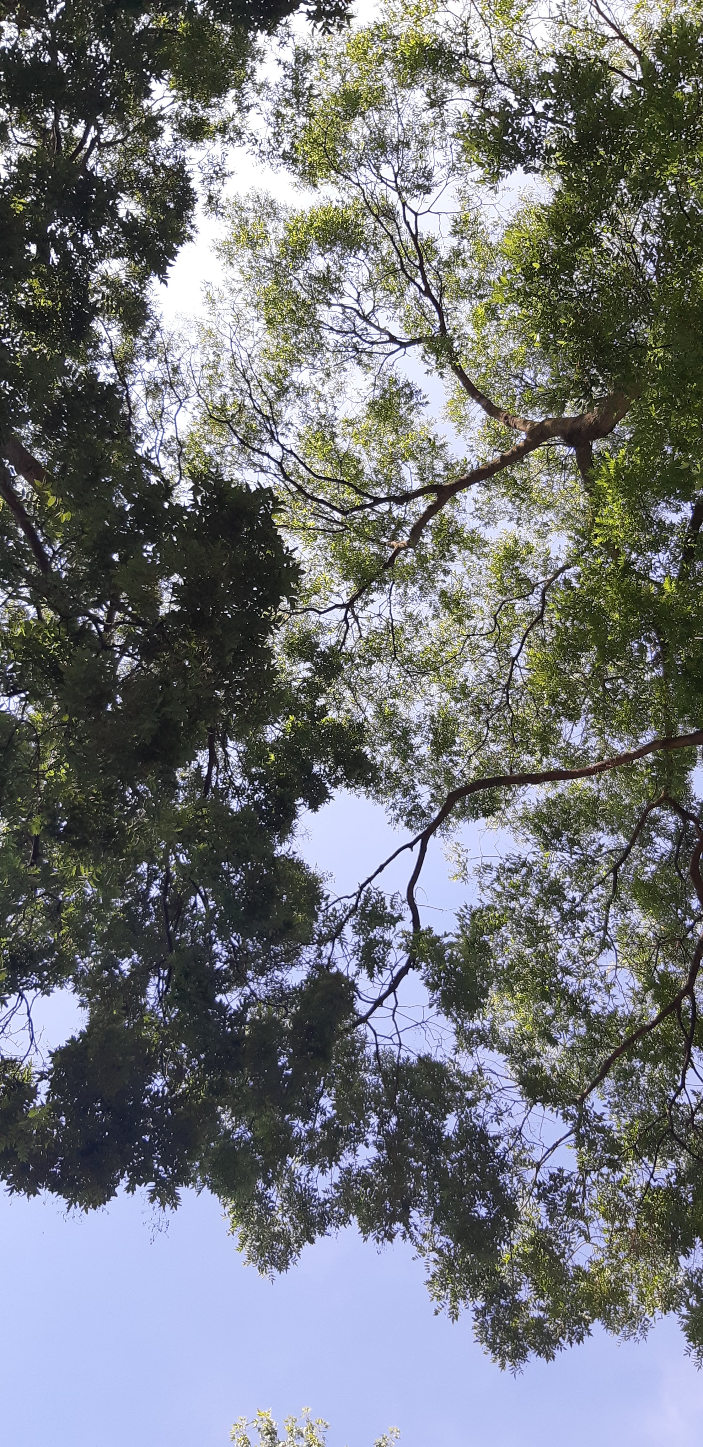 Photo n° 5 de l'avis de Jo. fait le 16/07/2019 à 21:14
