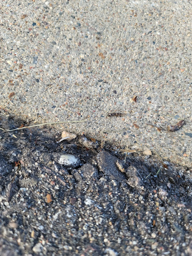 Gym «Life Time Athletic», reviews and photos, 755 Prairie Center Dr, Eden Prairie, MN 55344, USA