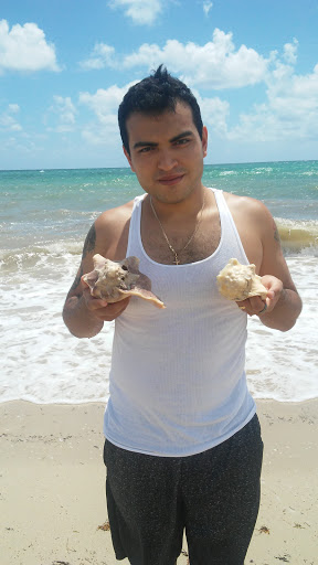 Park «Eighty Seven Park», reviews and photos, 8701 Collins Ave, Miami Beach, FL 33154, USA