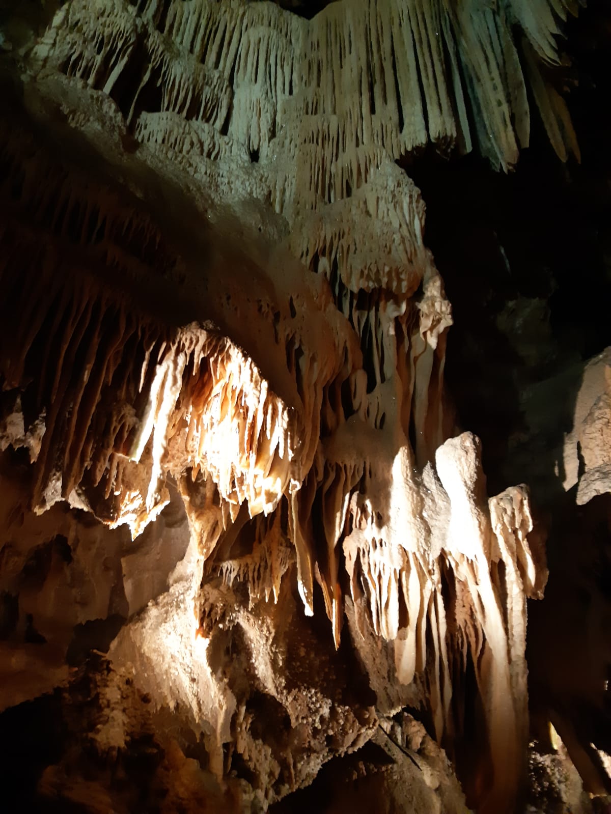 Photo n° 5 de l'avis de Alexandra. fait le 17/08/2021 à 22:21