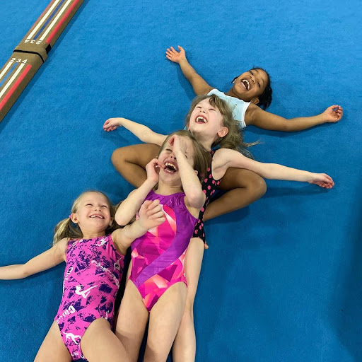 Gymnastics Center «Libertyville Gymnastics Academy», reviews and photos, 2610 Commerce Dr, Libertyville, IL 60048, USA