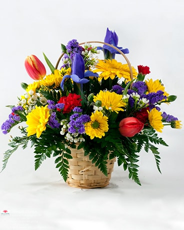 Florist «Gillespie Florists», reviews and photos, 9255 W 10th St, Indianapolis, IN 46234, USA