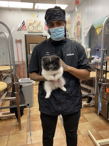 Pet Supply Store «PetSmart», reviews and photos, 3351 Jefferson Davis Hwy, Alexandria, VA 22305, USA