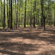 Carolina Pines Dog Park