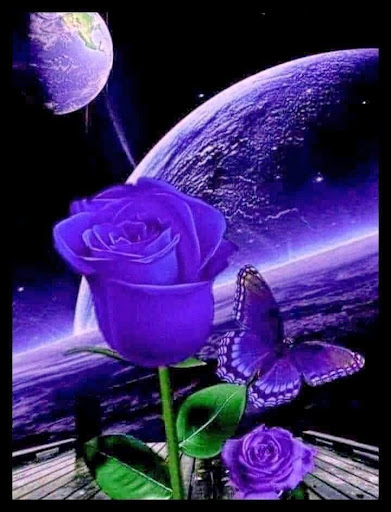 Movie Theater «Harkins Theatres Prescott Valley 14», reviews and photos, 7202 Pav Way, Prescott Valley, AZ 86314, USA