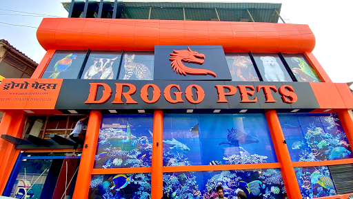 Drogo Pets Pvt Ltd