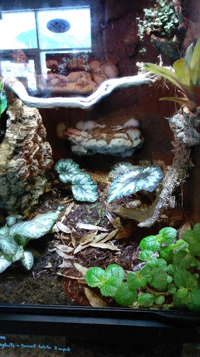 Pet Store «Rockstar Pets», reviews and photos, 215 N Main St, Tooele, UT 84074, USA