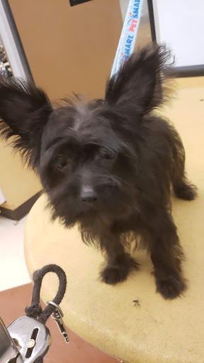 Pet Supply Store «PetSmart», reviews and photos, 849 E 23rd St, Panama City, FL 32405, USA