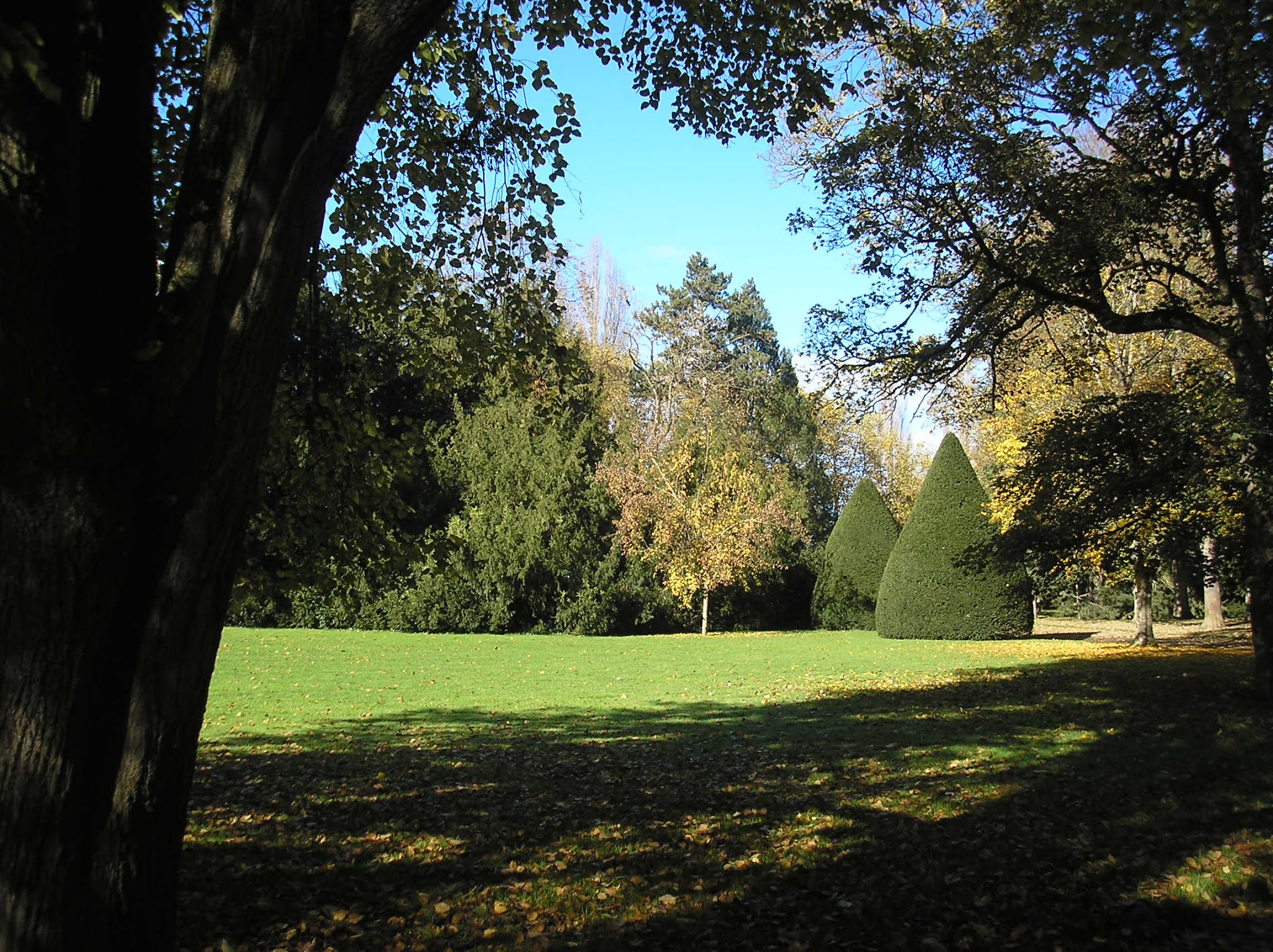 Photo n° 6 de l'avis de Bertrand.a fait le 21/11/2020 à 22:45