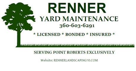 Renner Yard Maintenance