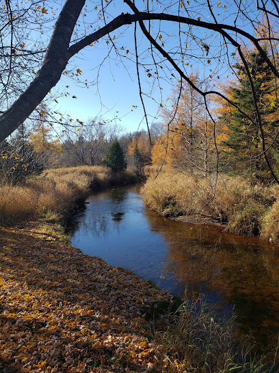 Trout River Natural Area