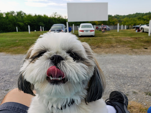 Drive-in Movie Theater «Stardust Drive In Theatre», reviews and photos, 310 Purple Tiger Dr, Watertown, TN 37184, USA