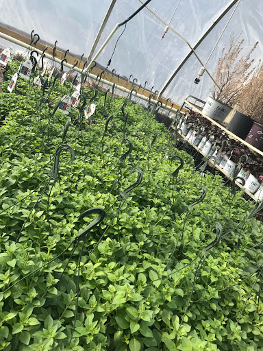 Garden Center «Lake Anna Nursery», reviews and photos, 71 Oak Grove Dr, Mineral, VA 23117, USA